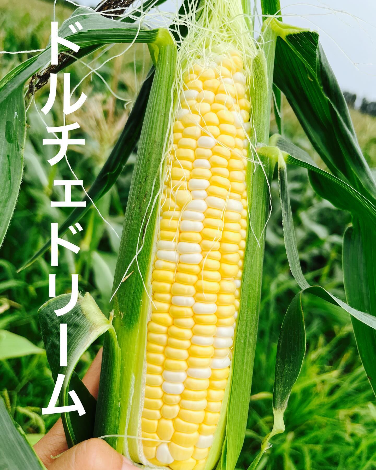 エムグリーン