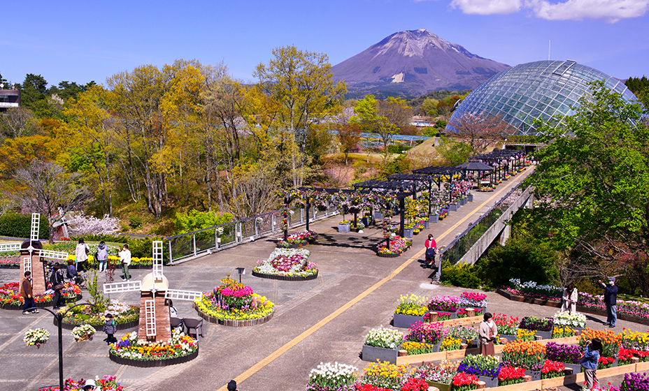 とっとり花回廊